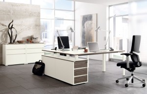 Kantoormeubelen Barendrecht Palmberg Pensum U-frame, super wit/zebrano