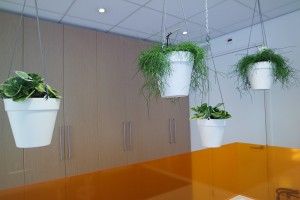 Diverse werkplekken, maatwerk tafel, Lande lamp en hangende plante