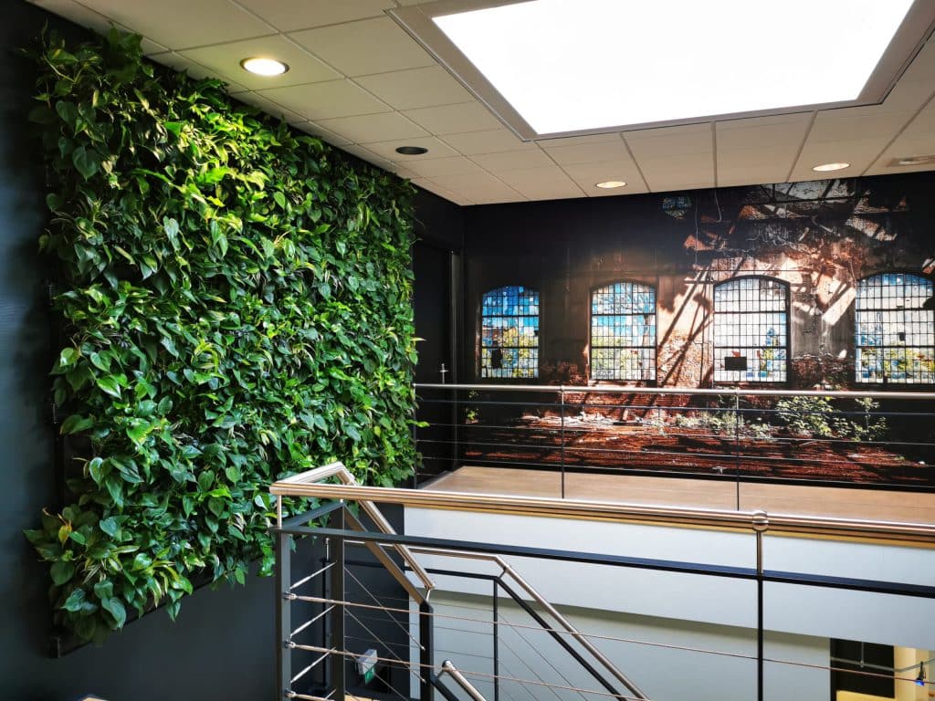 Green wall in office