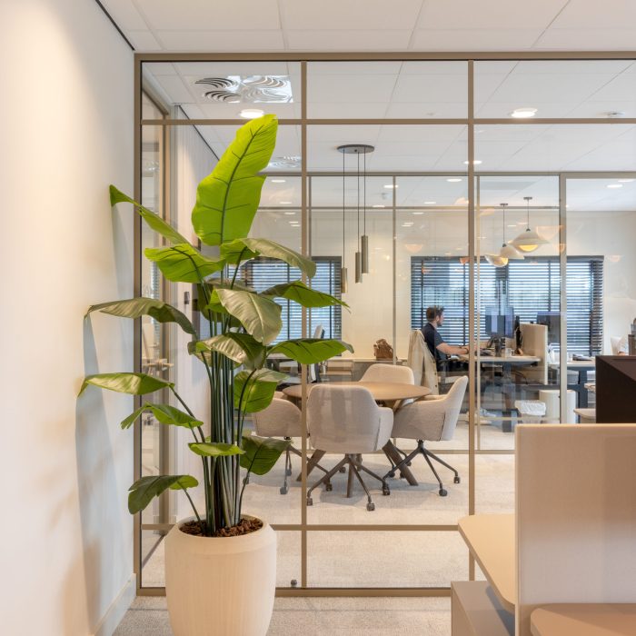 Zo maak je je kantoor warmer en uitnodigender (zonder dat het rommelig wordt)